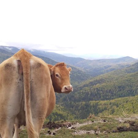 Altxabi Apartamento Rural Ochagavía Buitenkant foto